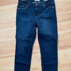 NWT Loft Modern  Skinny Jean